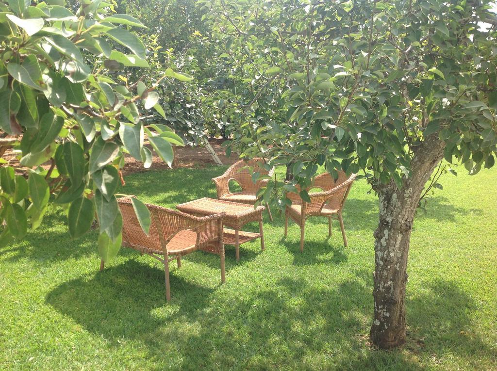Agriturismo L'Agrumeto 奥特朗托 外观 照片